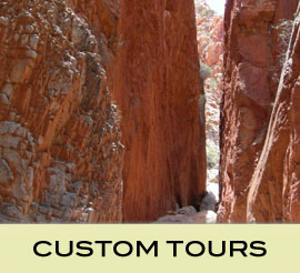 Custom Tours