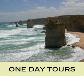 One Day Tours