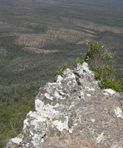 Custom Tours Mountains photo of Custom Tours Mountains